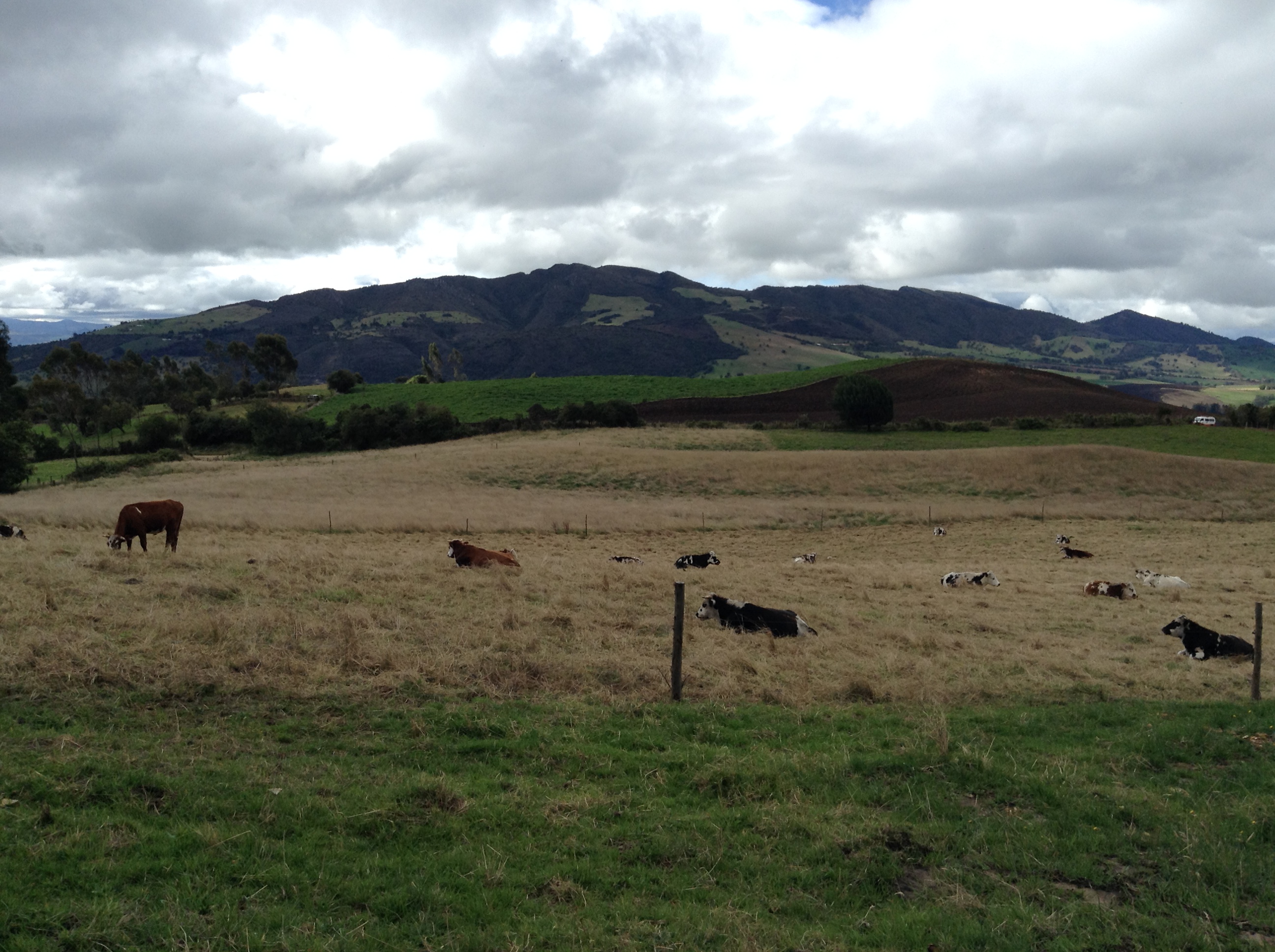 campo de la sabana